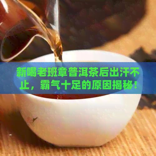 新喝老班章普洱茶后出汗不止，霸气十足的原因揭秘！