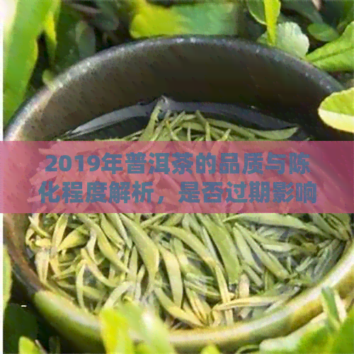 2019年普洱茶的品质与陈化程度解析，是否过期影响饮用体验？