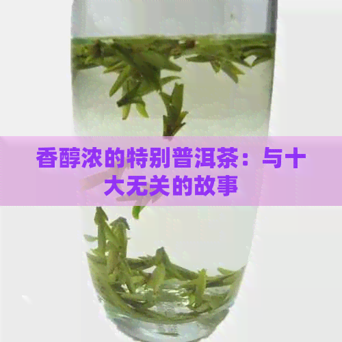 香醇浓的特别普洱茶：与十大无关的故事