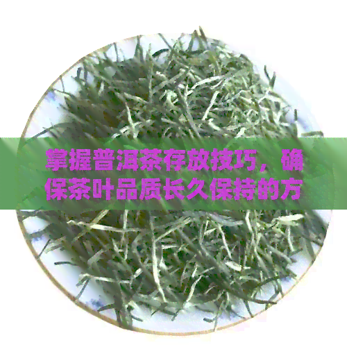 掌握普洱茶存放技巧，确保茶叶品质长久保持的方法