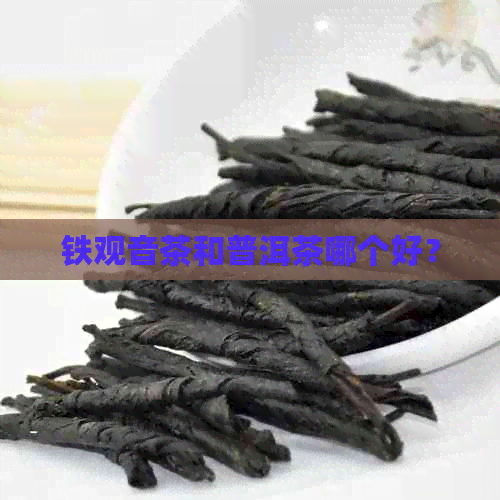 铁观音茶和普洱茶哪个好？