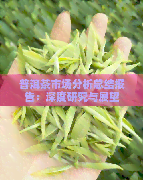 普洱茶市场分析总结报告：深度研究与展望