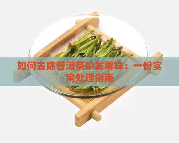 如何去除普洱茶中发霉味：一份实用处理指南