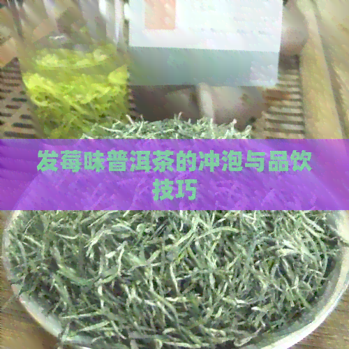 发莓味普洱茶的冲泡与品饮技巧