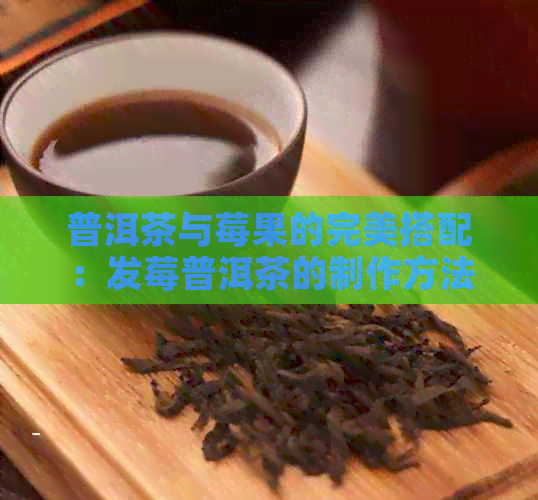 普洱茶与莓果的完美搭配：发莓普洱茶的制作方法、功效与口感详解