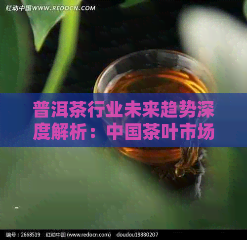 普洱茶行业未来趋势深度解析：中国茶叶市场的现状与产业发展分析