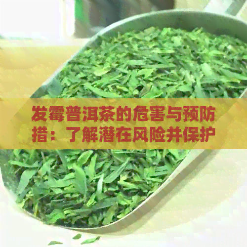 发霉普洱茶的危害与预防措：了解潜在风险并保护自己的健