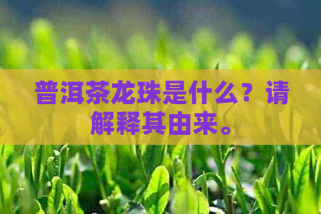 普洱茶龙珠是什么？请解释其由来。