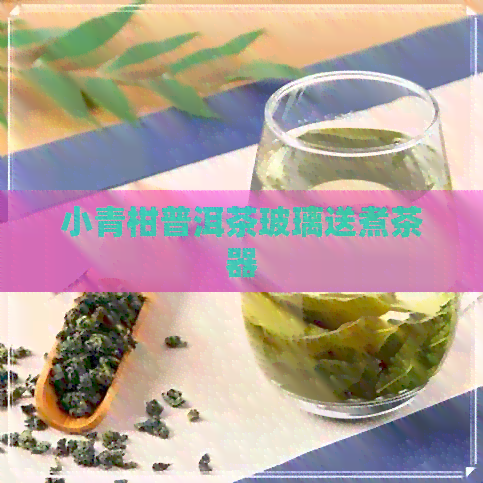 小青柑普洱茶玻璃送煮茶器