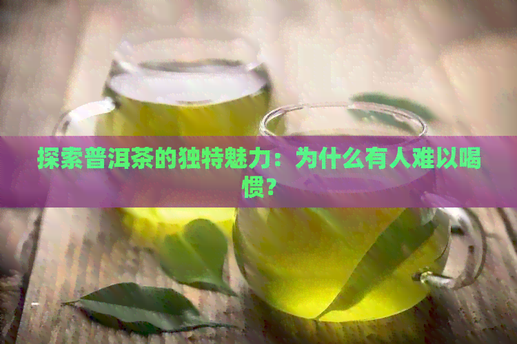 探索普洱茶的独特魅力：为什么有人难以喝惯？