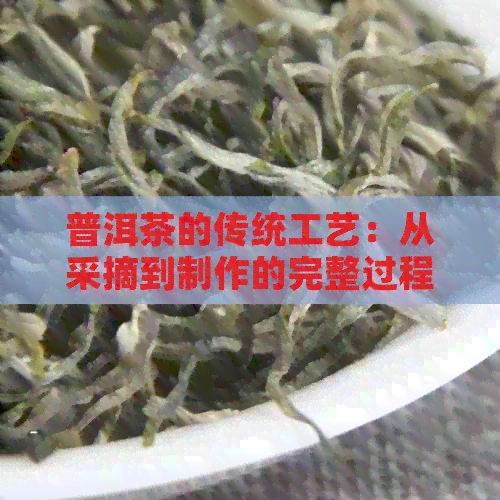 普洱茶的传统工艺：从采摘到制作的完整过程解析