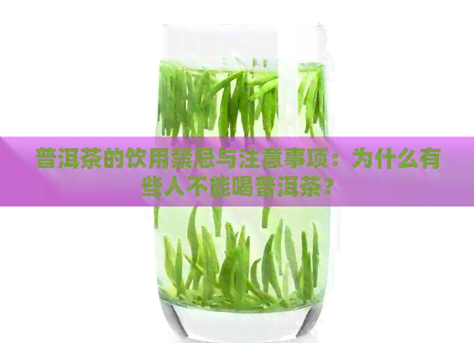 普洱茶的饮用禁忌与注意事项：为什么有些人不能喝普洱茶？