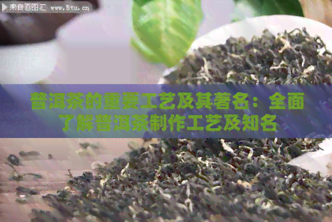 普洱茶的重要工艺及其著名：全面了解普洱茶制作工艺及知名