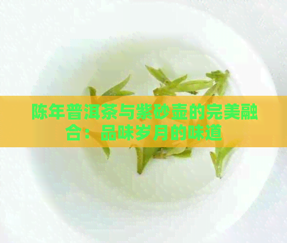 陈年普洱茶与紫砂壶的完美融合：品味岁月的味道