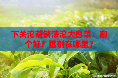 下关沱茶销法沱大白菜：哪个好？区别在哪里？