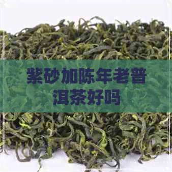 紫砂加陈年老普洱茶好吗