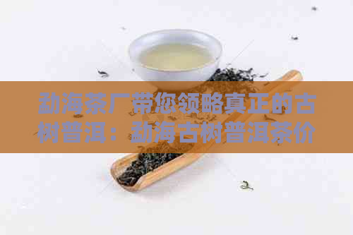 勐海茶厂带您领略真正的古树普洱：勐海古树普洱茶价格与厂家信息