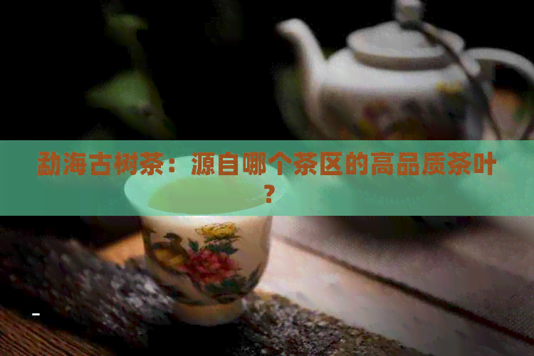 勐海古树茶：源自哪个茶区的高品质茶叶？