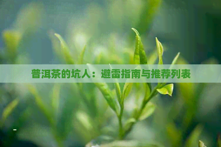 普洱茶的坑人：避雷指南与推荐列表