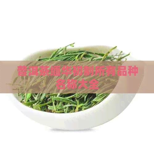 普洱茶缅华初制所有品种名称大全