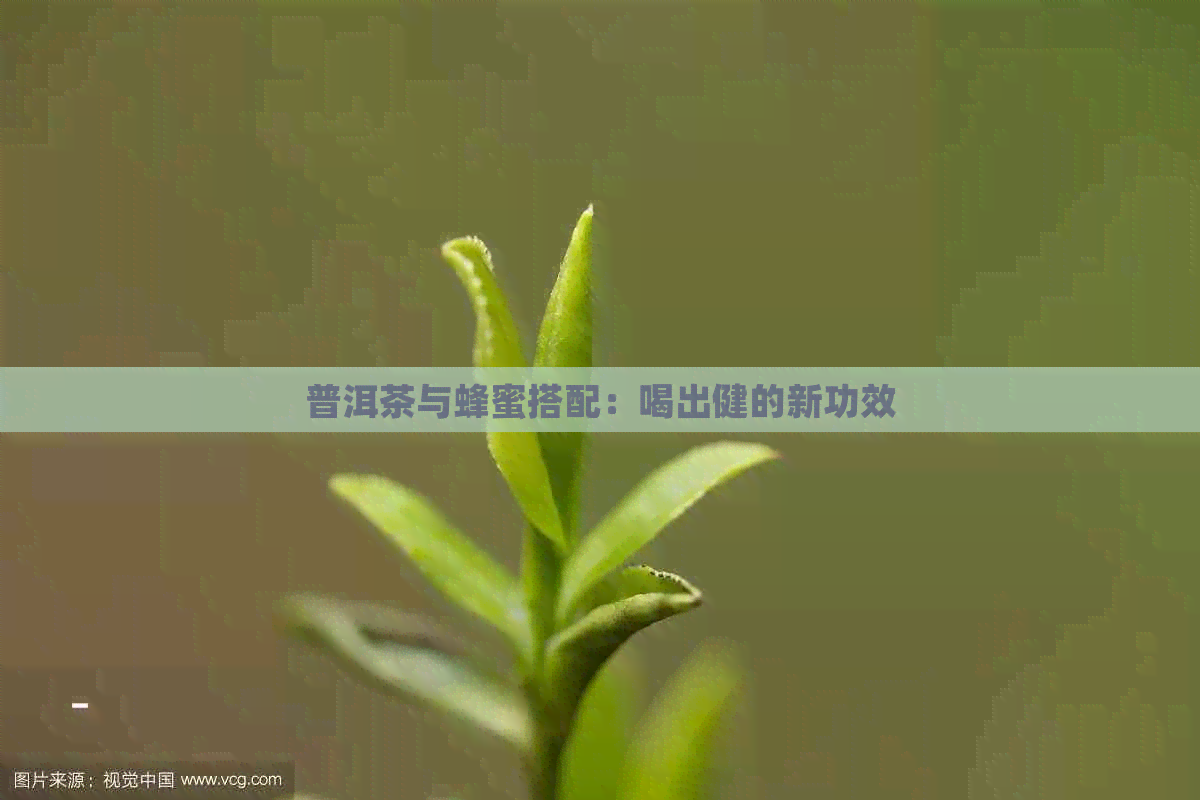 普洱茶与蜂蜜搭配：喝出健的新功效