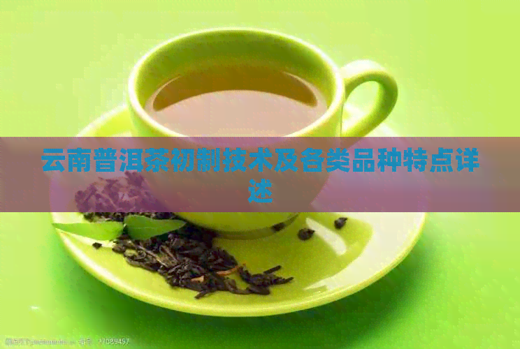 云南普洱茶初制技术及各类品种特点详述