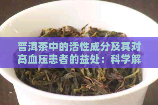 普洱茶中的活性成分及其对高血压患者的益处：科学解析其降血压的原理