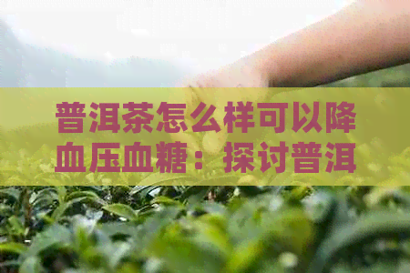 普洱茶怎么样可以降血压血糖：探讨普洱茶对血糖和血压的调节作用