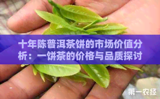 十年陈普洱茶饼的市场价值分析：一饼茶的价格与品质探讨