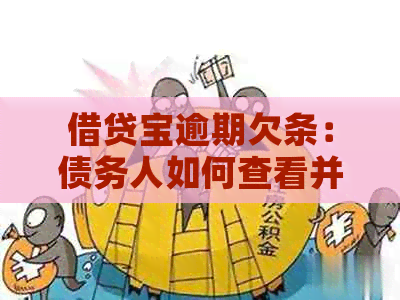 借贷宝逾期欠条：债务人如何查看并采取行动？