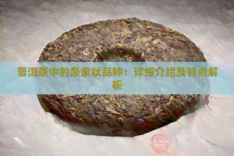 普洱茶中的条索状品种：详细介绍及特点解析