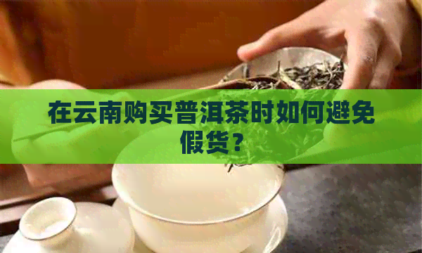 在云南购买普洱茶时如何避免假货？