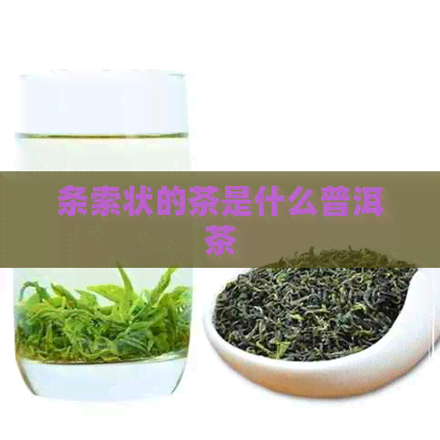 条索状的茶是什么普洱茶