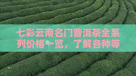 七彩云南名门普洱茶全系列价格一览，了解各种等级与年份的费用对比