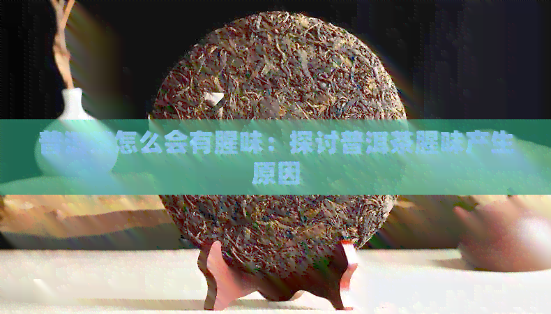 普洱茶怎么会有腥味：探讨普洱茶腥味产生原因