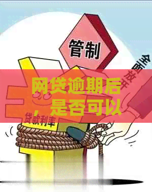 网贷逾期后，是否可以安全地申请个体户贷款？