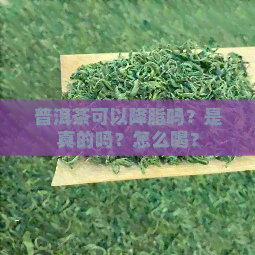 普洱茶可以降脂吗？是真的吗？怎么喝？