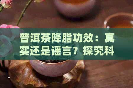 普洱茶降脂功效：真实还是谣言？探究科学研究与证据