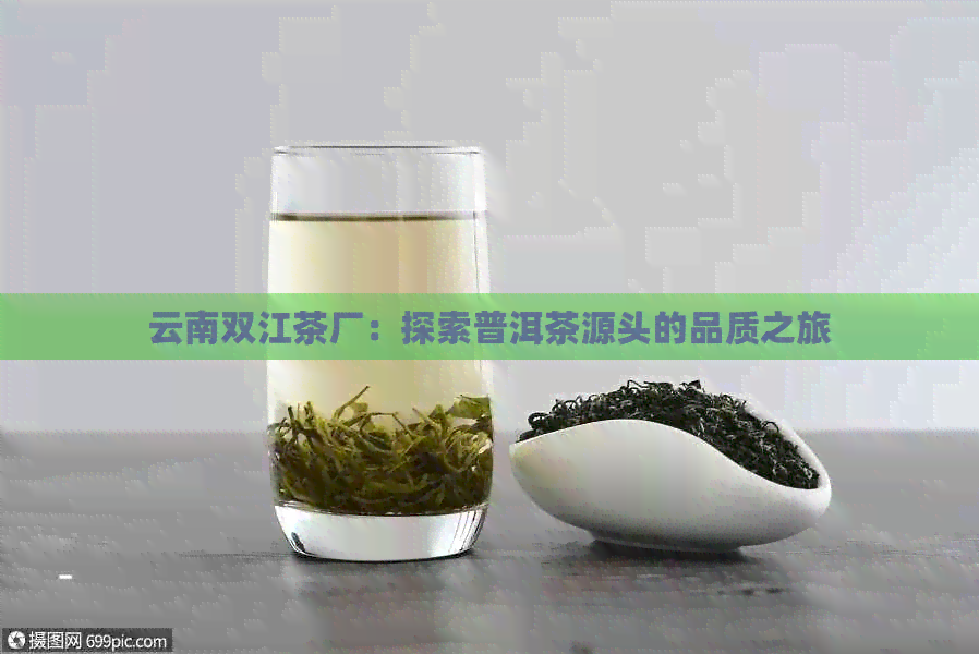 云南双江茶厂：探索普洱茶源头的品质之旅