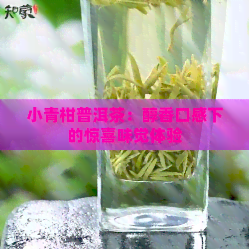 小青柑普洱茶：醇香口感下的惊喜味觉体验