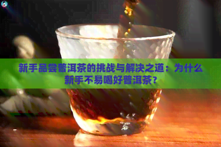 新手品尝普洱茶的挑战与解决之道：为什么新手不易喝好普洱茶？