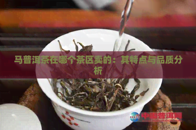 马普洱茶在哪个茶区卖的：其特点与品质分析