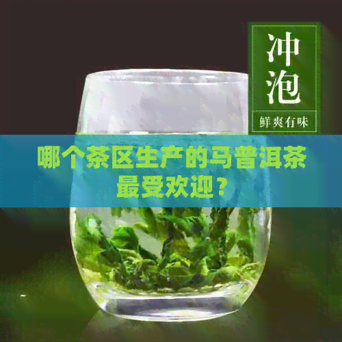 哪个茶区生产的马普洱茶更受欢迎？