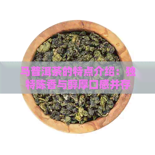 马普洱茶的特点介绍：独特陈香与醇厚口感并存