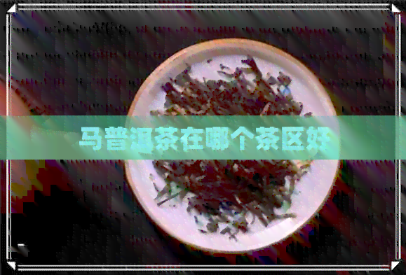 马普洱茶在哪个茶区好