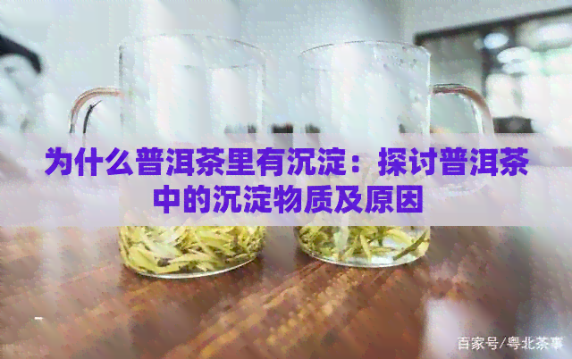 为什么普洱茶里有沉淀：探讨普洱茶中的沉淀物质及原因