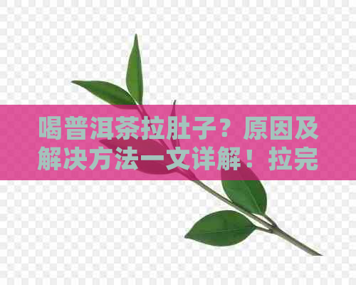 喝普洱茶拉肚子？原因及解决方法一文详解！拉完服的原因也揭秘！