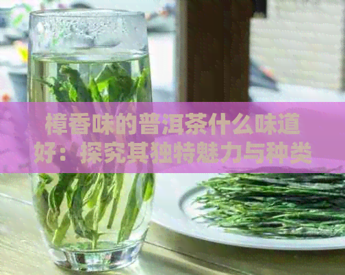 樟香味的普洱茶什么味道好：探究其独特魅力与种类