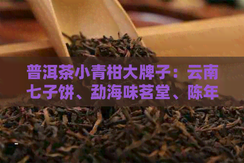 普洱茶小青柑大牌子：云南七子饼、勐海味茗堂、陈年老树、广云双宝等。