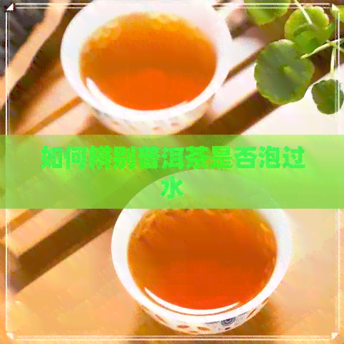 如何辨别普洱茶是否泡过水